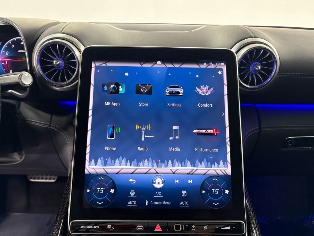 2025 MERCEDES-BENZ AMG GT - Image 19