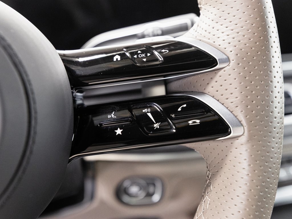 2025 MERCEDES-BENZ GLS-CLASS - Image 13