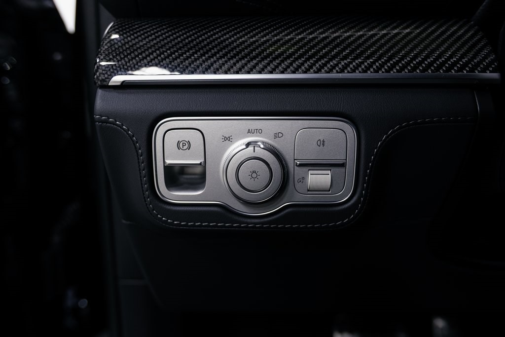 2025 MERCEDES-BENZ GLS-CLASS - Image 10