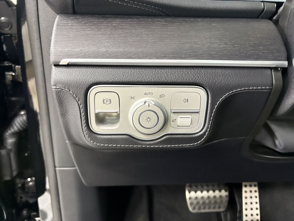 2025 MERCEDES-BENZ GLS-CLASS - Image 10