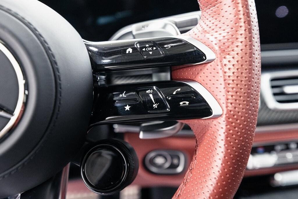 2025 MERCEDES-BENZ GLE-CLASS - Image 13