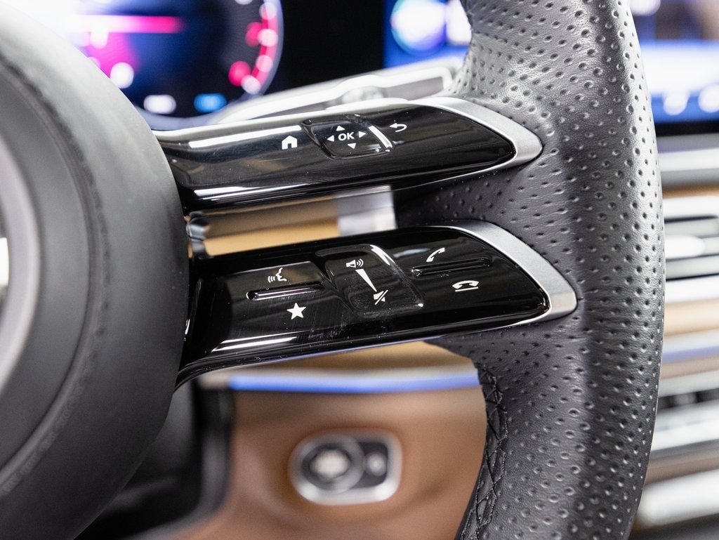 2025 MERCEDES-BENZ GLS-CLASS - Image 13