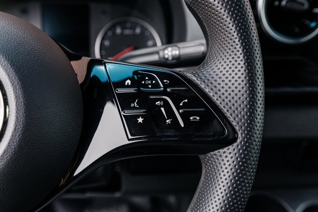 2025 MERCEDES-BENZ SPRINTER - Image 12