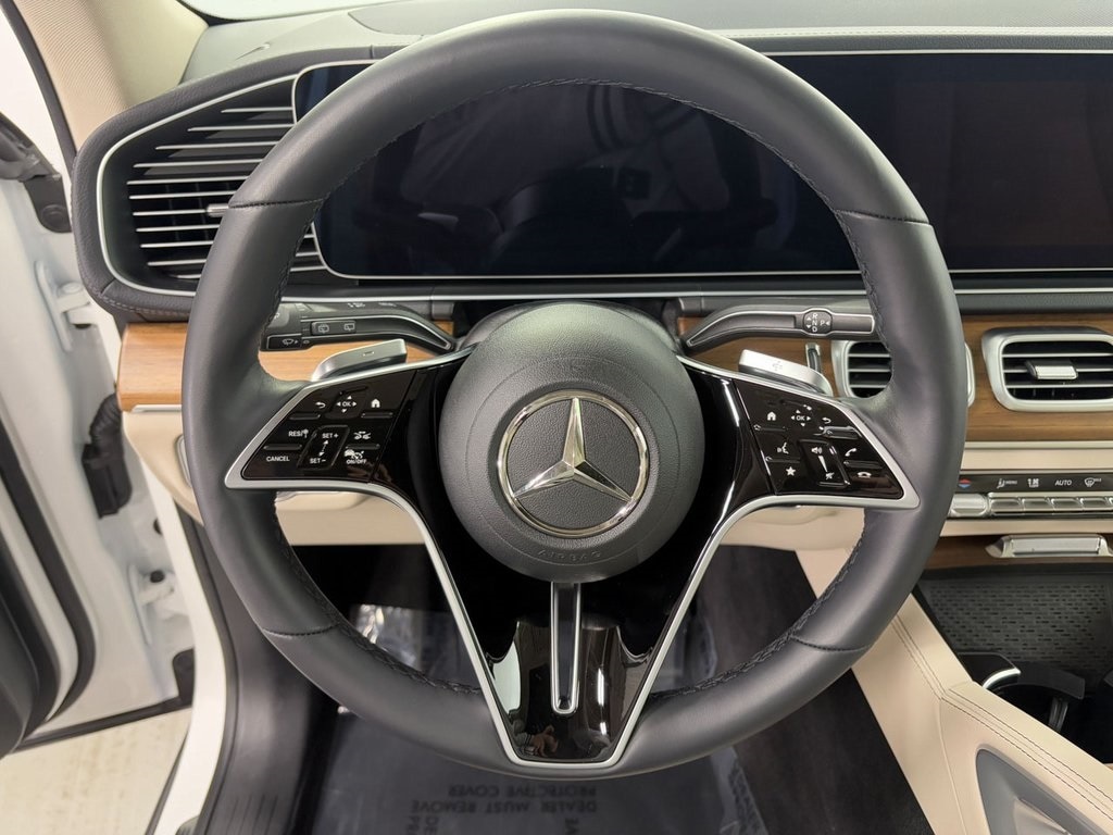 2025 MERCEDES-BENZ GLS-CLASS - Image 12