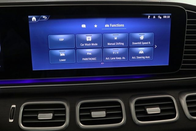 2025 MERCEDES-BENZ GLS-CLASS - Image 9