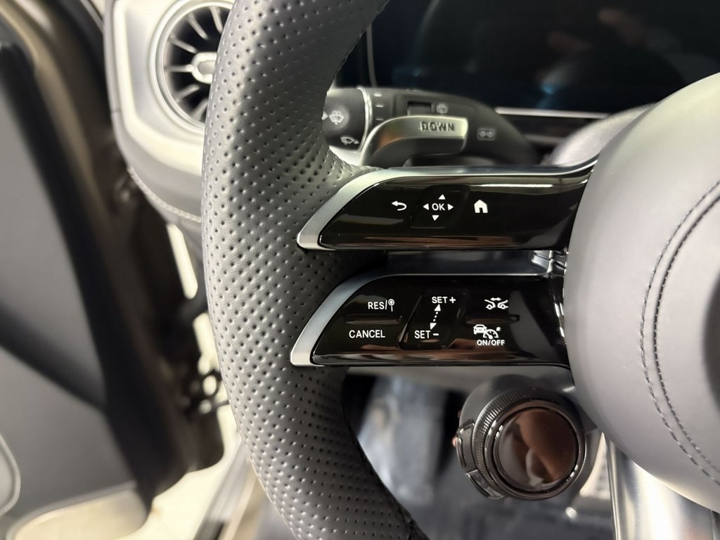 2025 MERCEDES-BENZ G-CLASS - Image 12