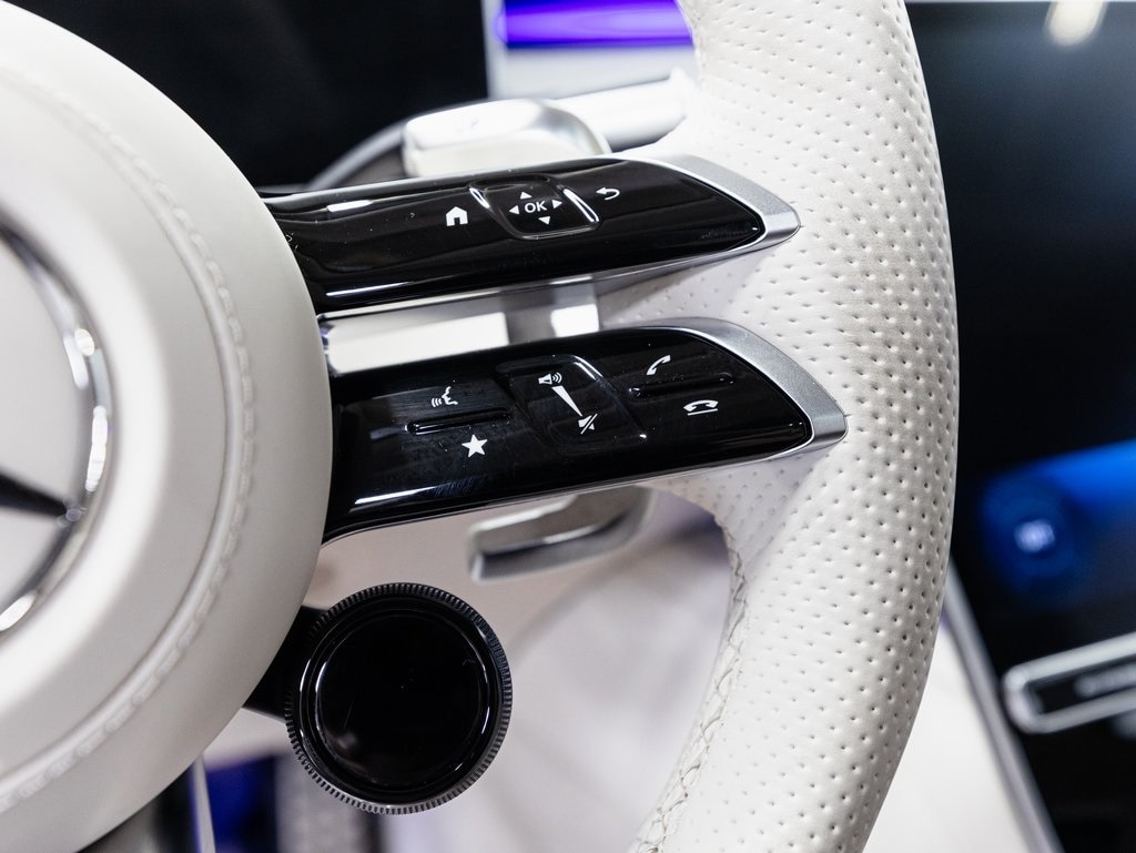 2025 MERCEDES-BENZ S-CLASS - Image 13