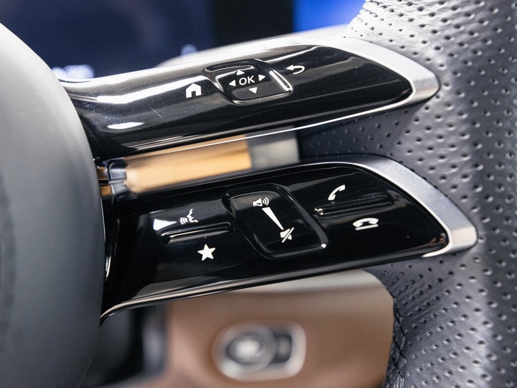 2024 MERCEDES-BENZ GLS-CLASS - Image 13