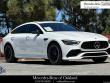  Mercedes-Benz AMGÂ® GT 43
