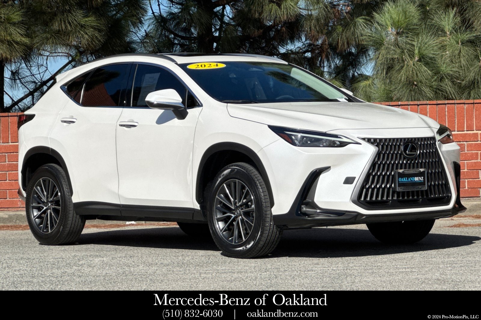 2024 Lexus NX