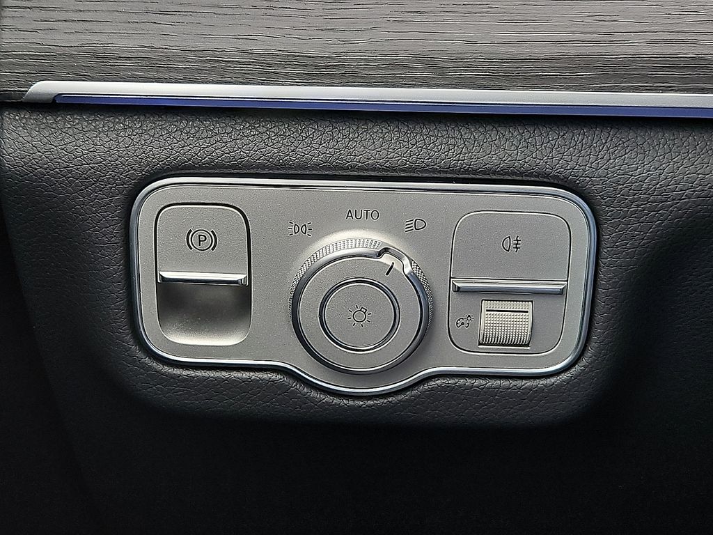 2025 Mercedes-Benz GLS Base - Photo 23