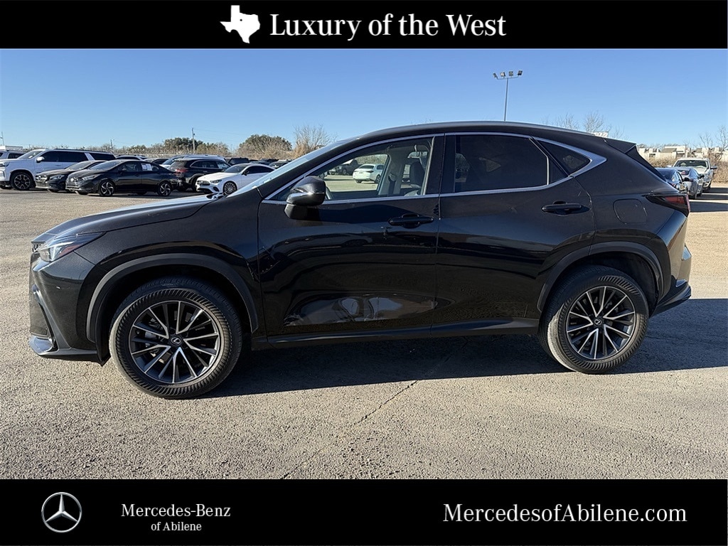 2023 Lexus NX 350's photo