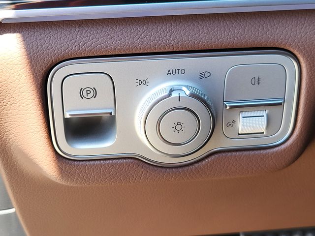 2025 Mercedes-Benz GLS Base - Photo 21