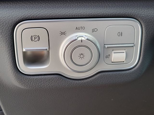 2025 Mercedes-Benz GLS Base - Photo 22