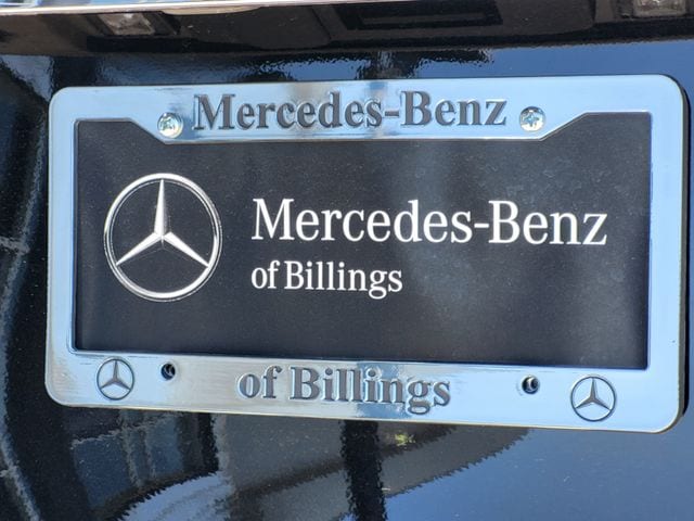 2025 Mercedes-Benz GLS Base - Photo 51
