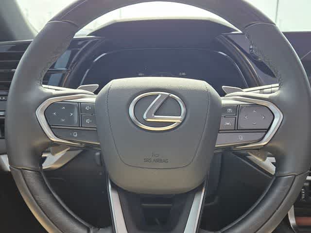 Thumbnail: 2025 Lexus RX - 24