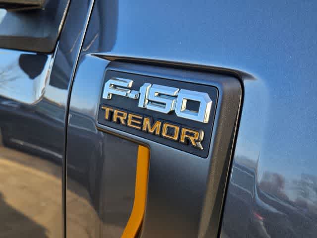 Thumbnail: 2025 Ford F-150 - 12