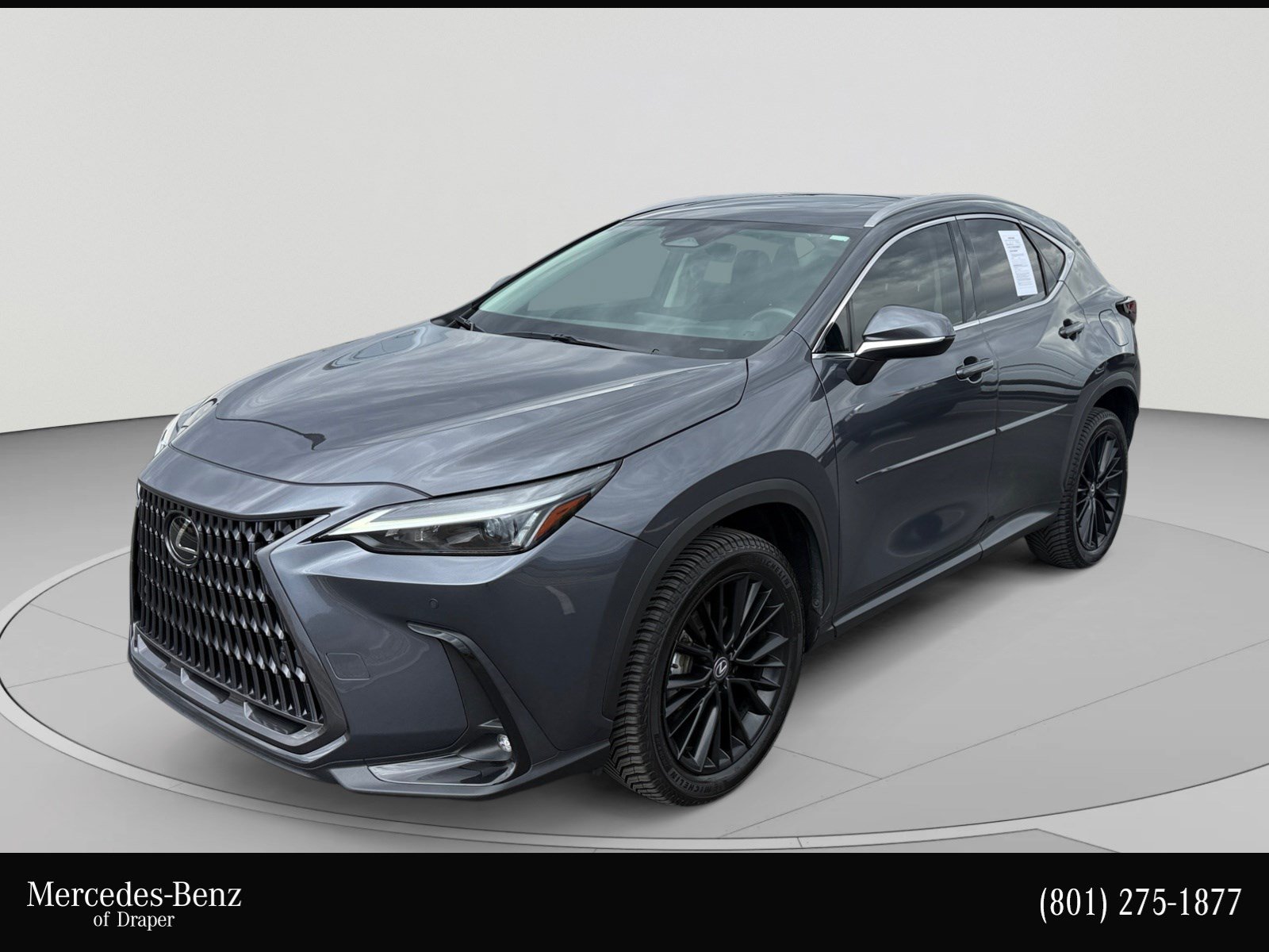 2023 Lexus NX