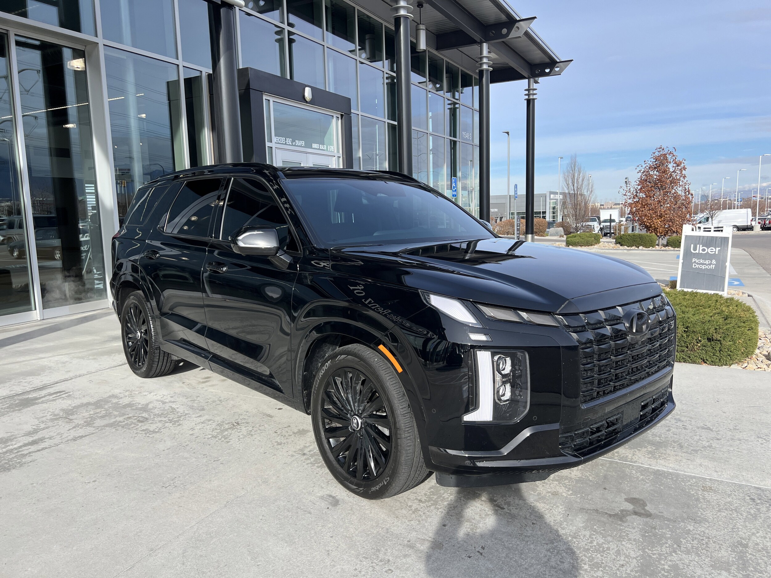 2025 Hyundai Palisade Calligraphy photo 3