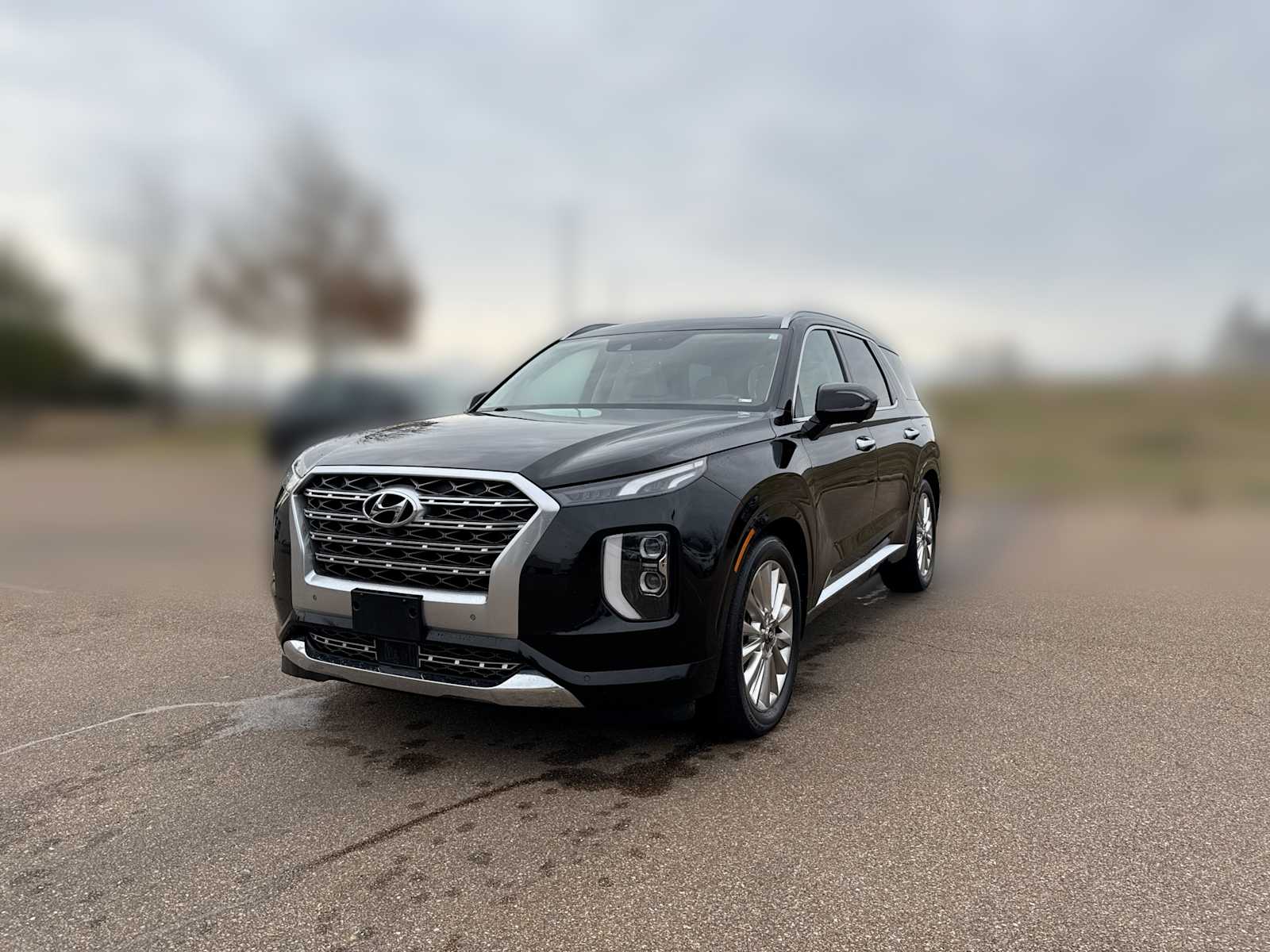 2020 Hyundai Palisade Limited -
                  Ridgeland, MS
