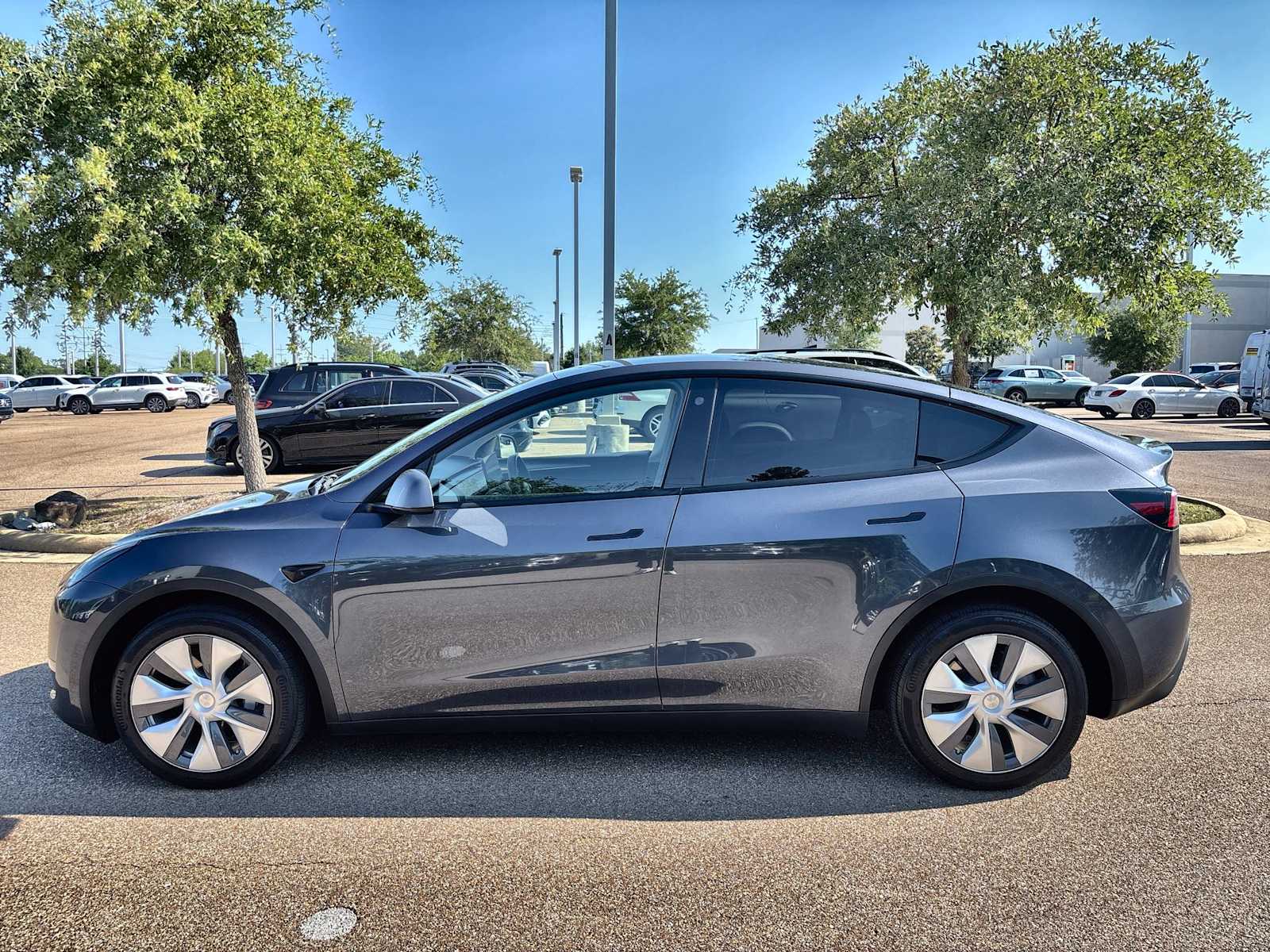 Thumbnail: 2023 Tesla Model Y - 5