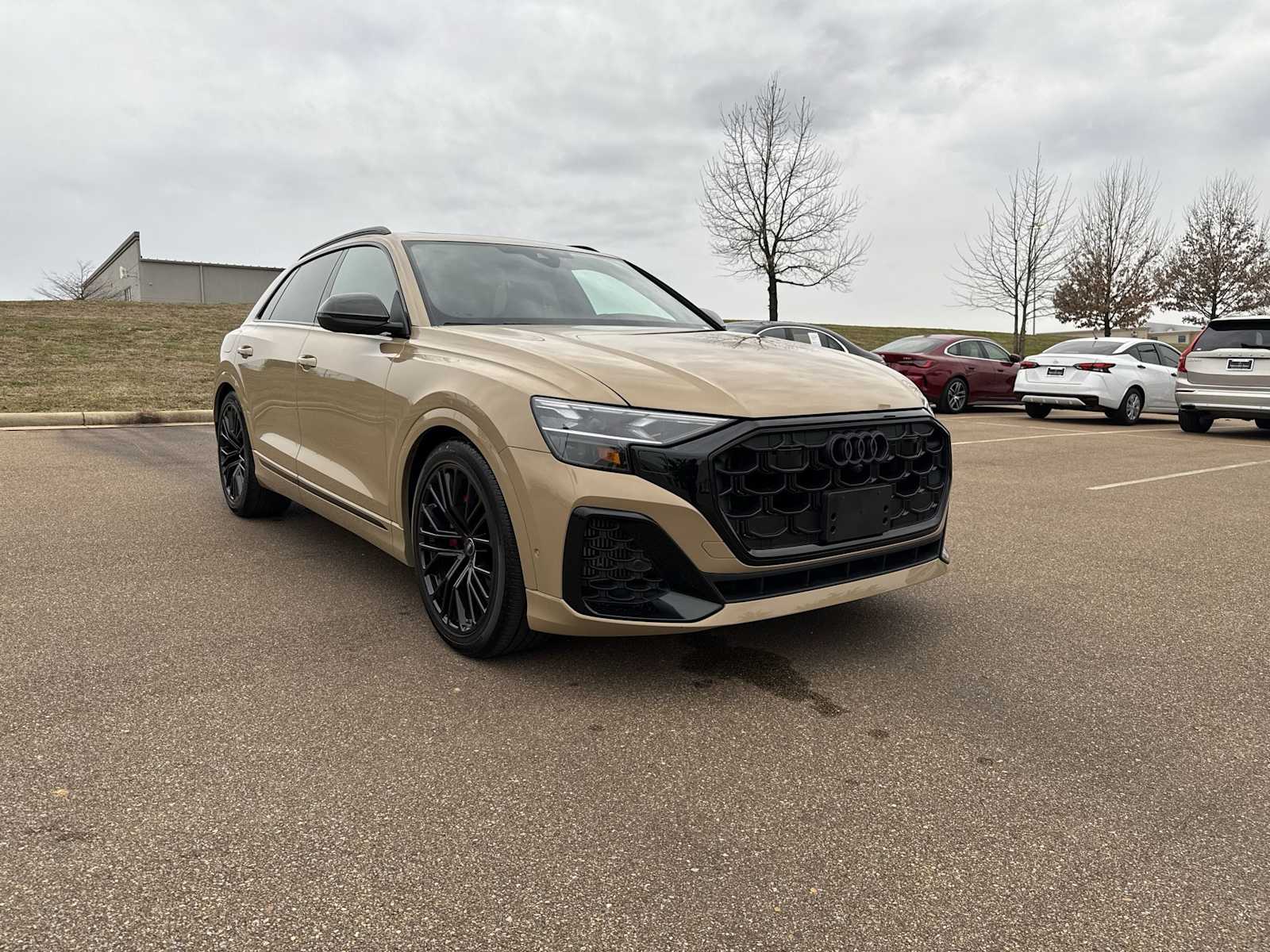 Thumbnail: 2024 Audi SQ8 - 8