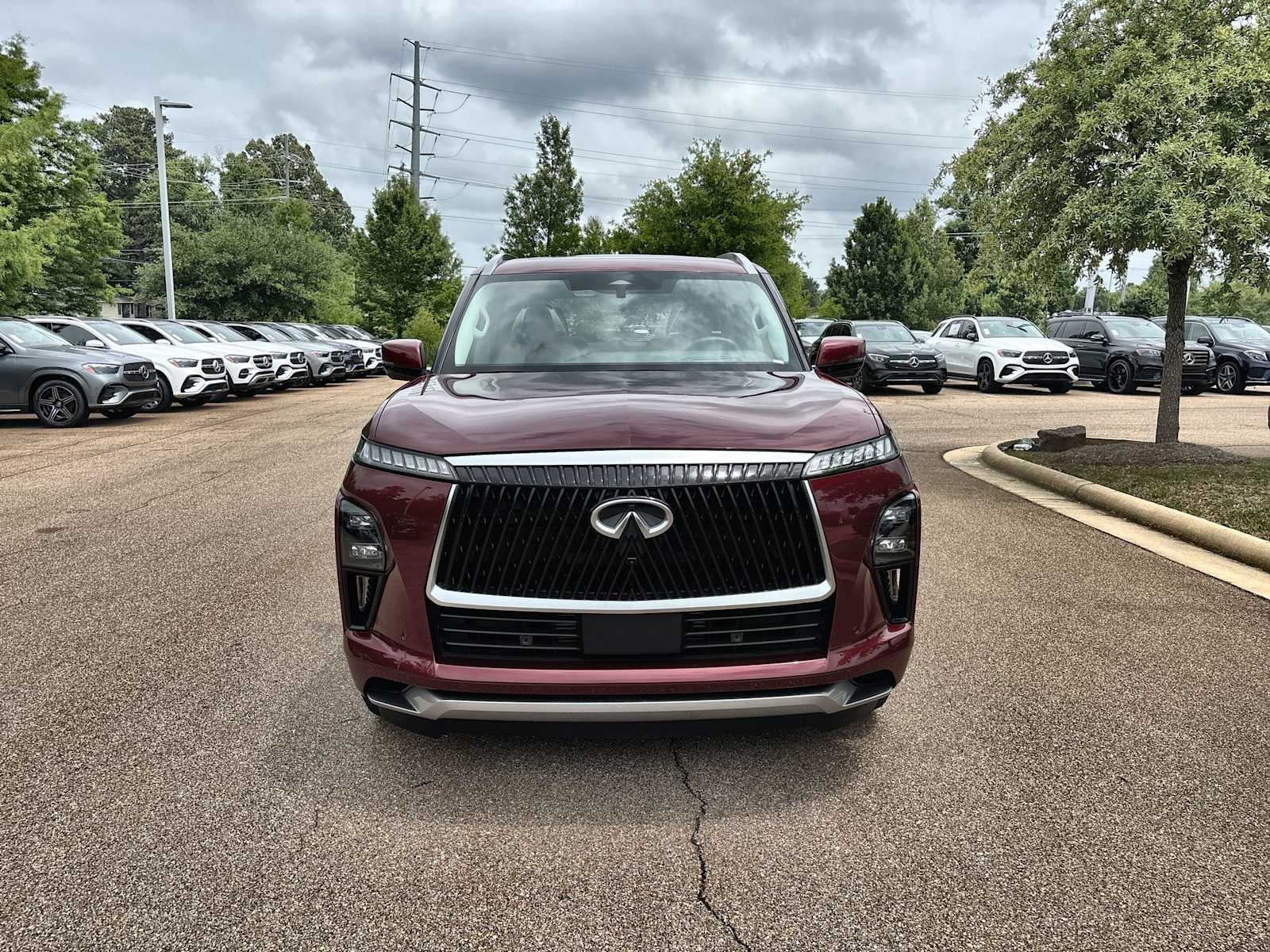 Thumbnail: 2025 INFINITI QX80 - 12