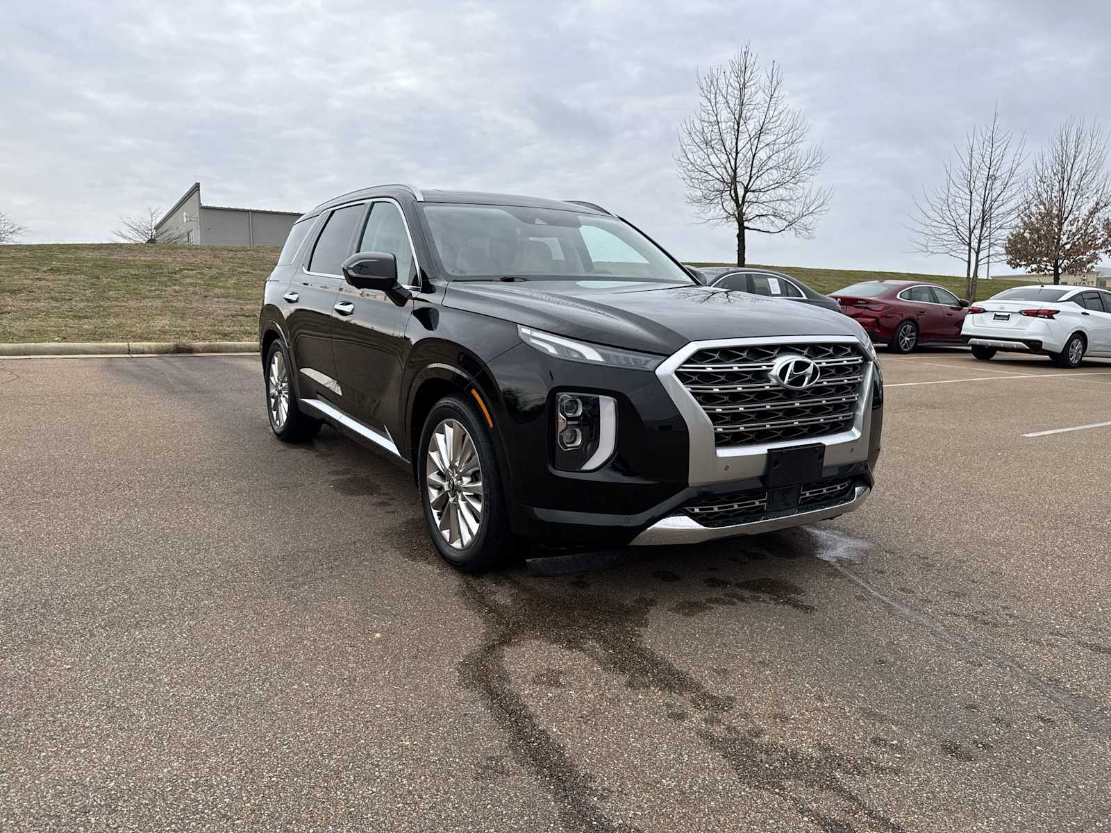 Thumbnail: 2020 Hyundai Palisade - 8