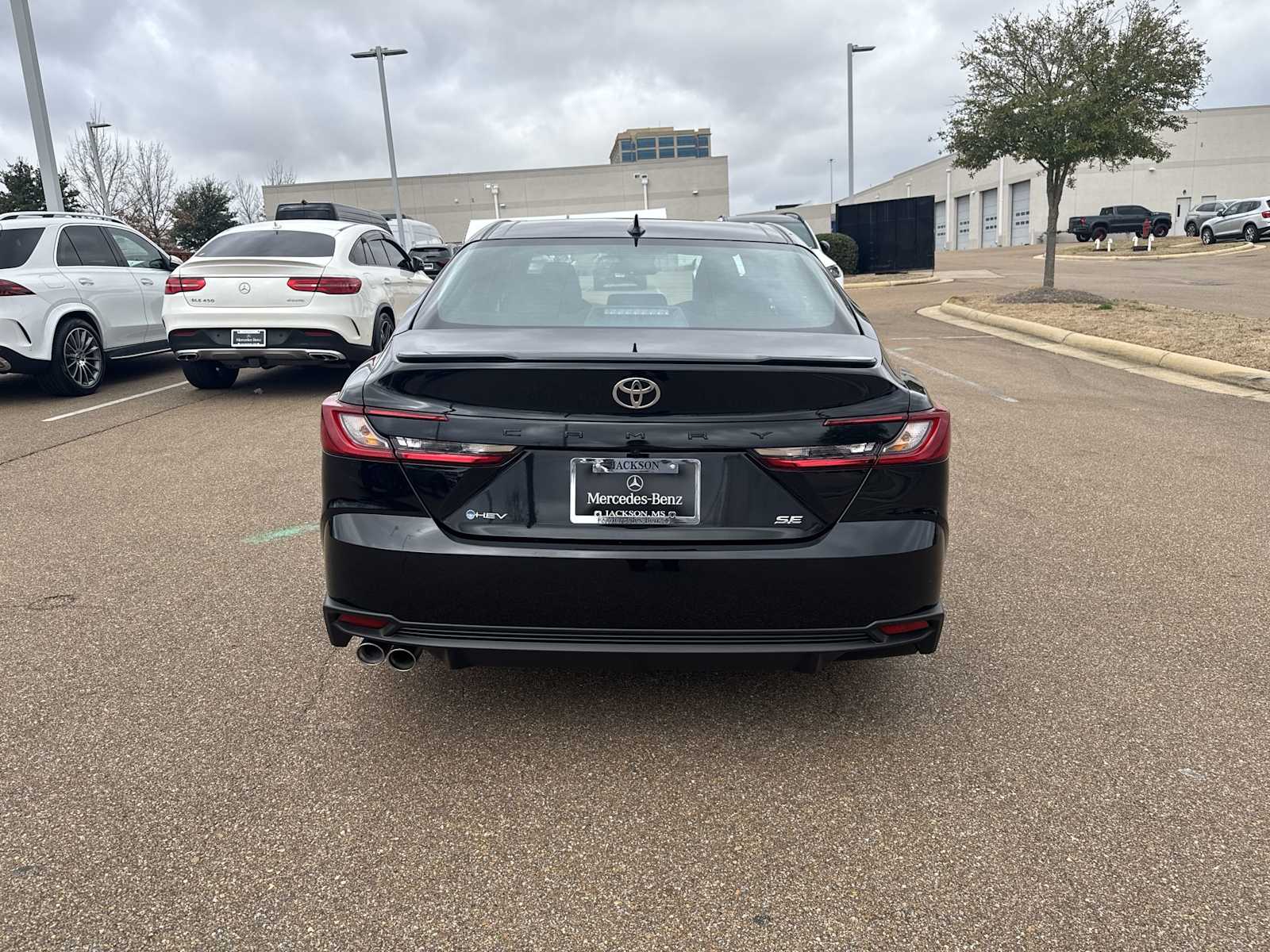 Thumbnail: 2026 Toyota Camry - 5