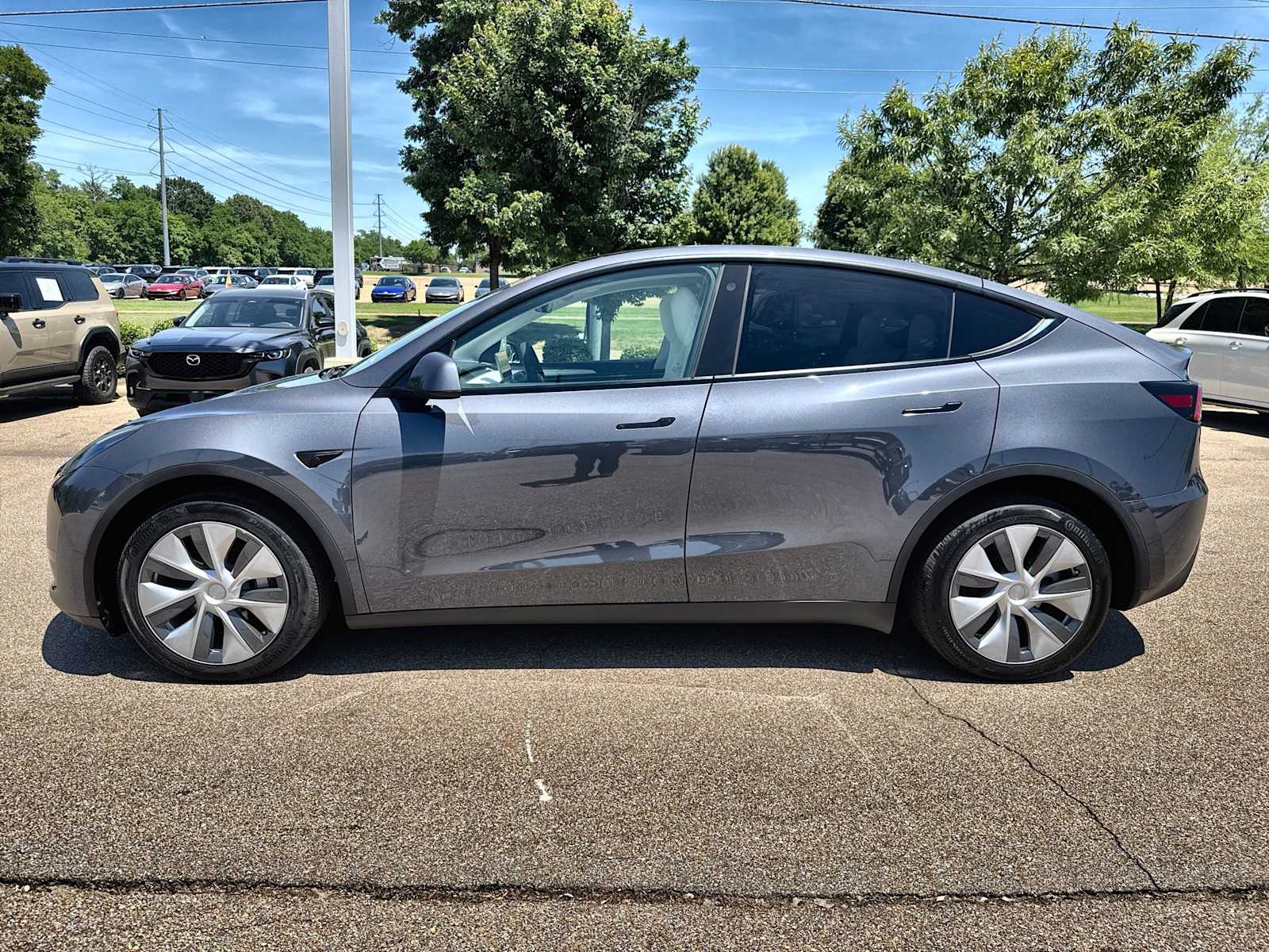 Thumbnail: 2023 Tesla Model Y - 5