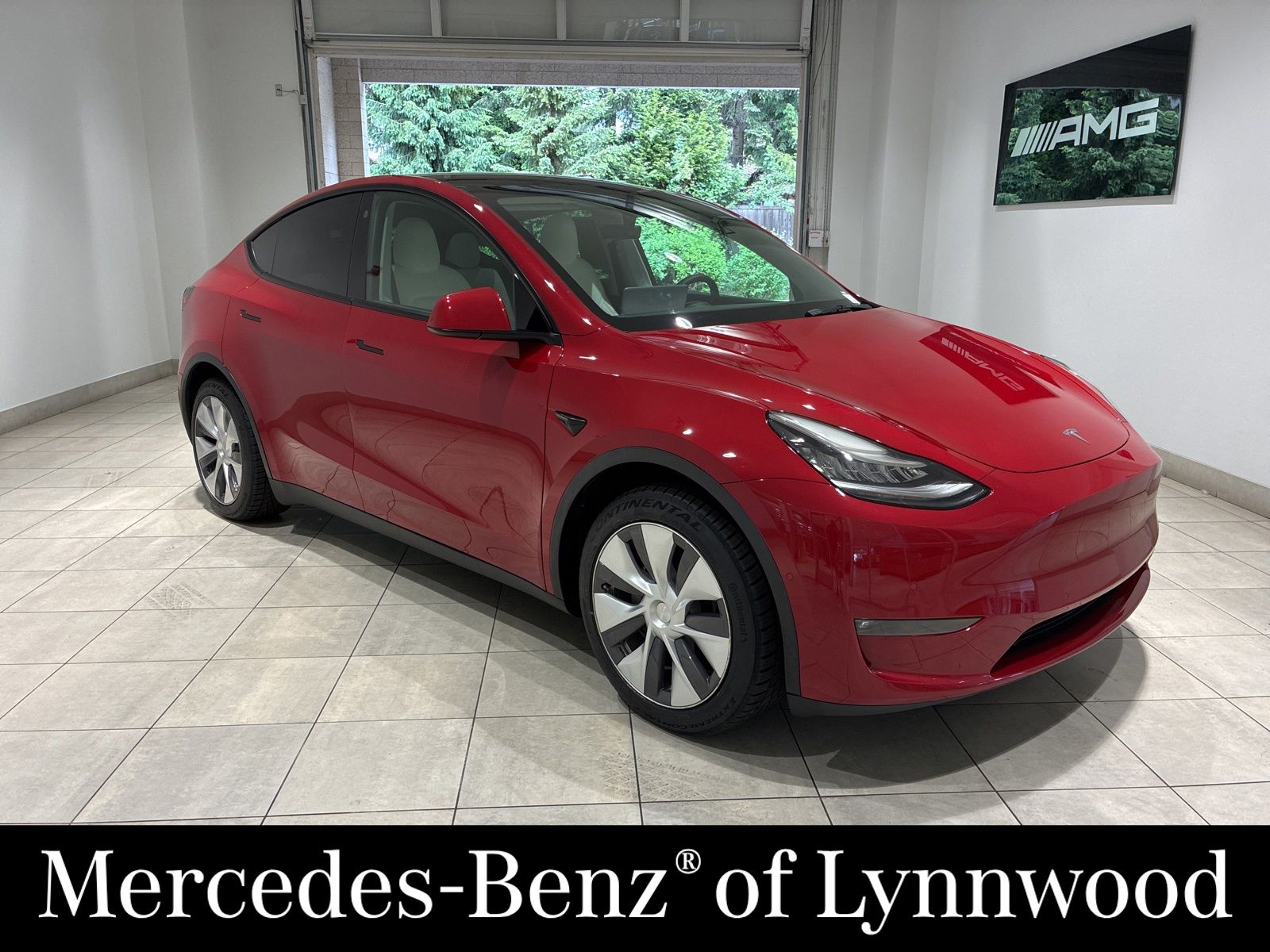 2021 Tesla Model Y Standard Range's photo