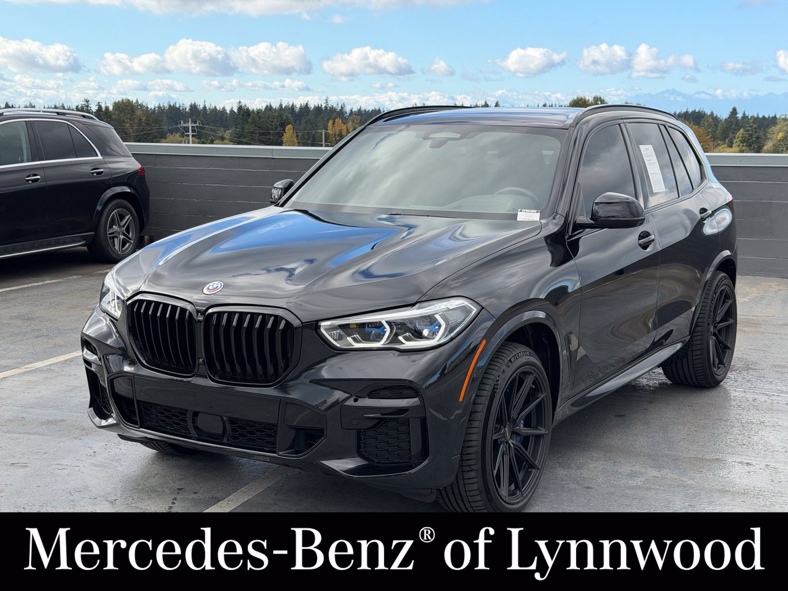 2023 BMW X5