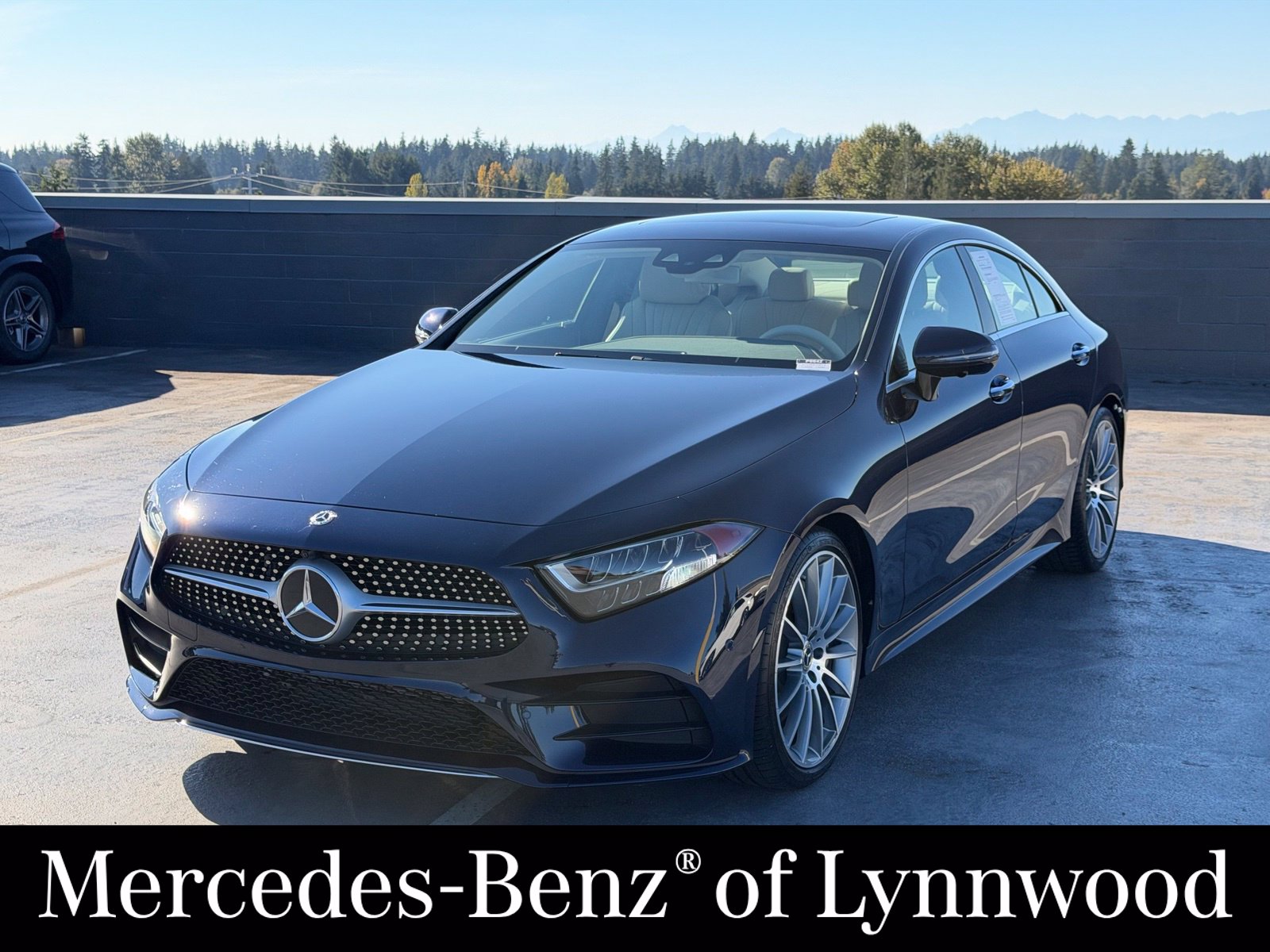 2019 Mercedes-Benz CLS-Class