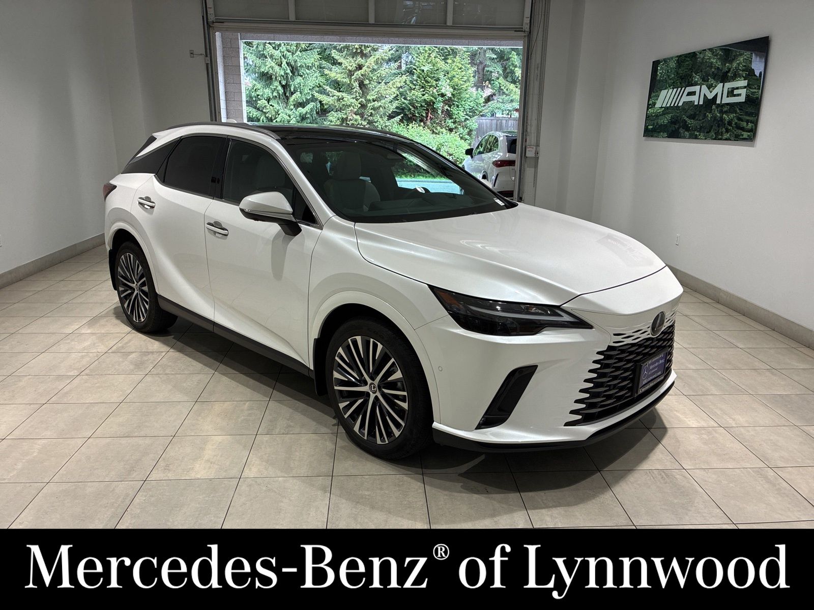 2023 Lexus RX 350h 350h Premium Plus AWD's photo