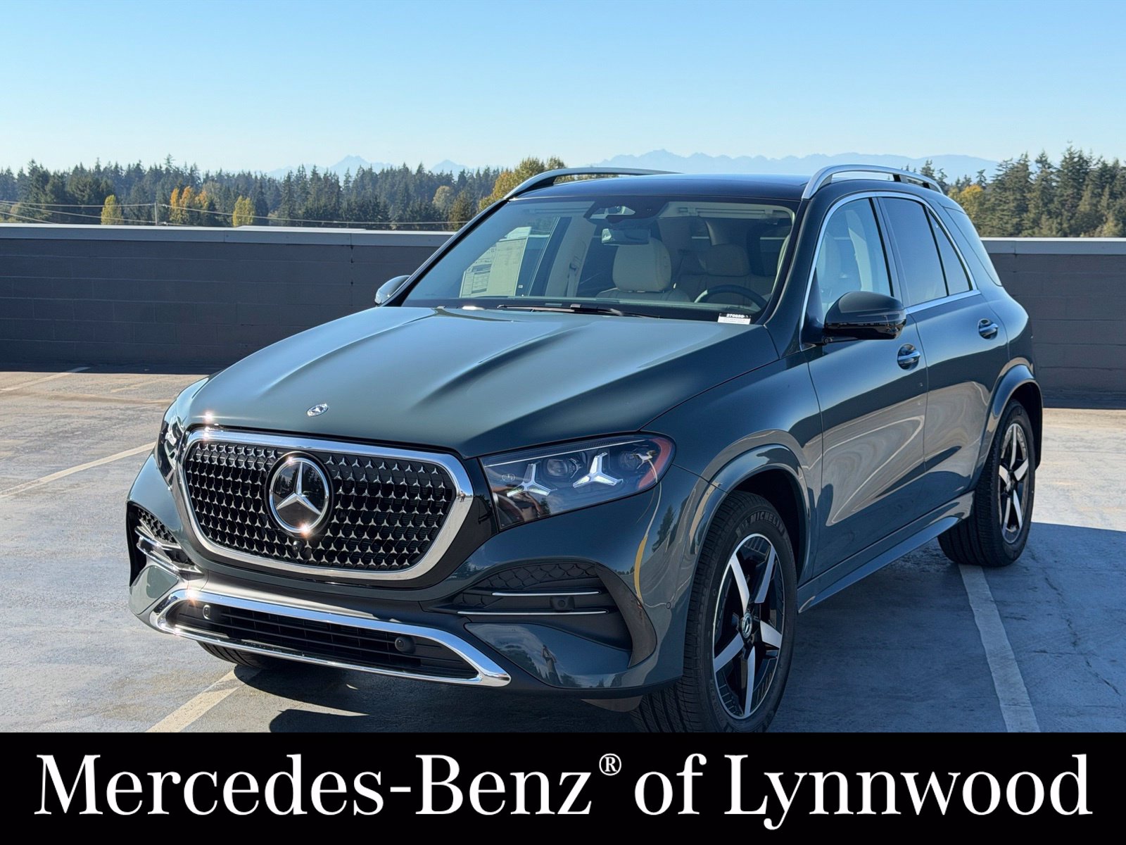  Mercedes-Benz GLE