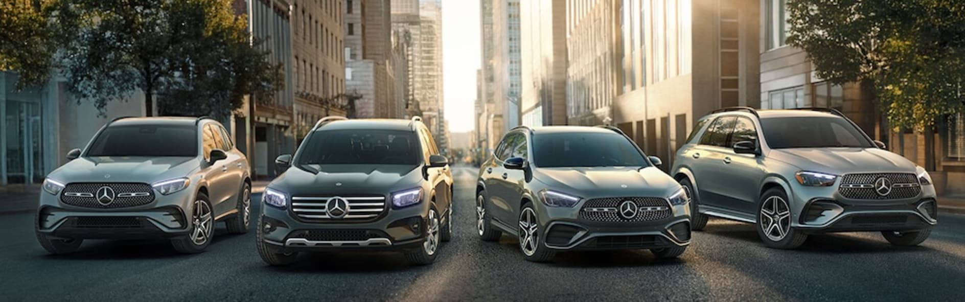 Four gray Mercedes-Benz vehicles parked beside each other on a tree-lined city street