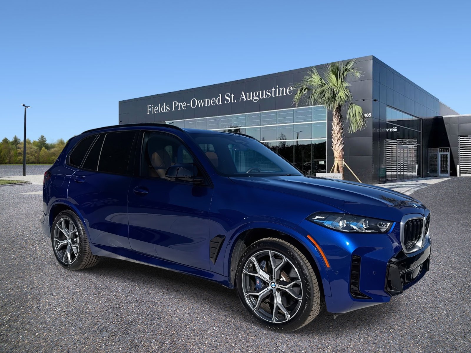 2025 BMW X5 M60i's photo