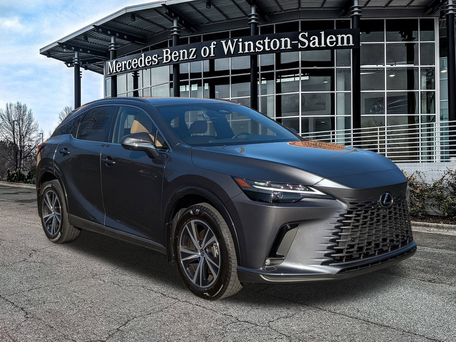 2025 Lexus RX 350's photo