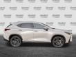 2024 LEXUS NX NX 450h+ Luxury SUV