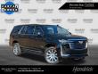 Cadillac Escalade ESV