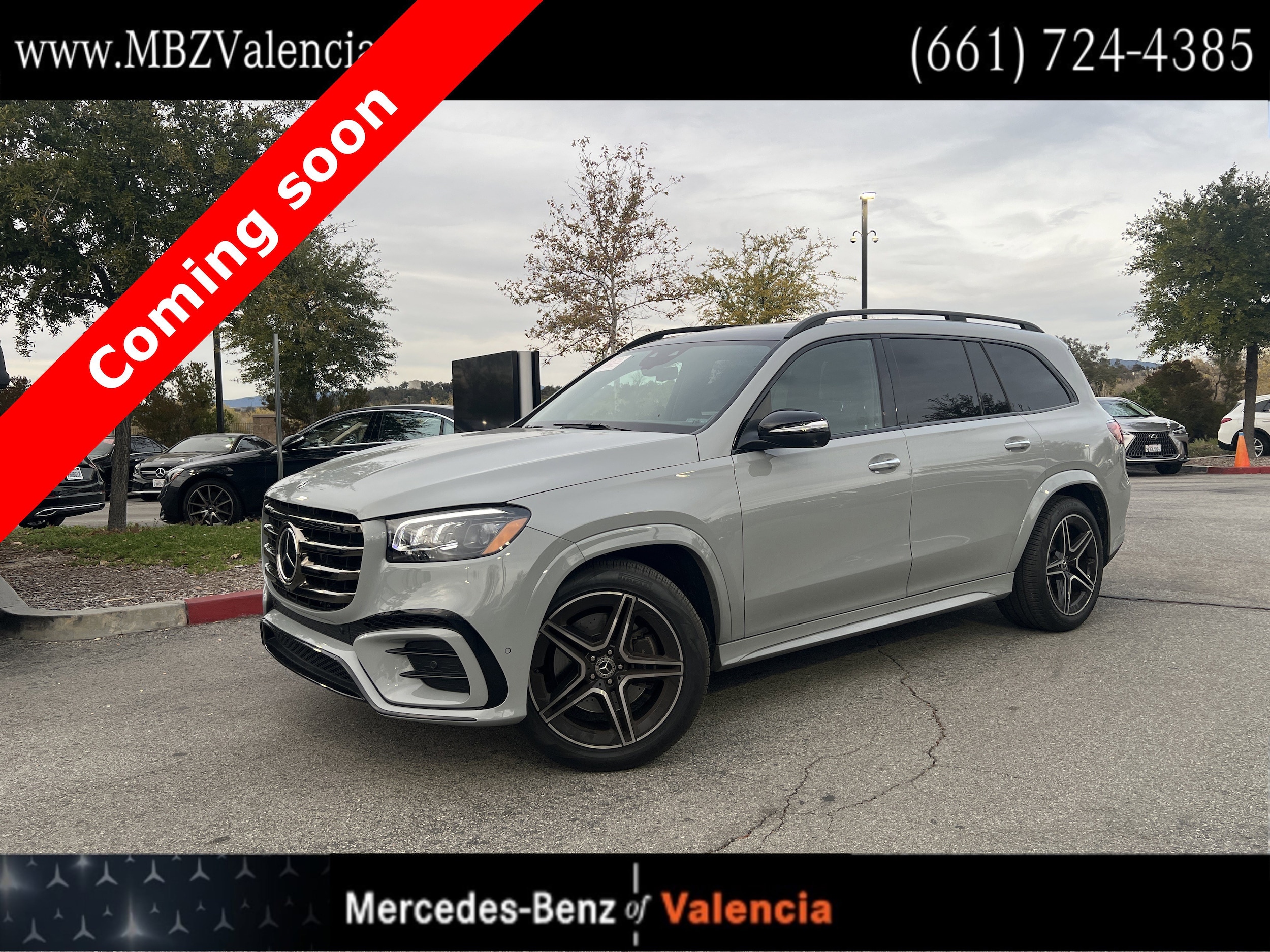 2025 Mercedes-Benz GLS Base's photo