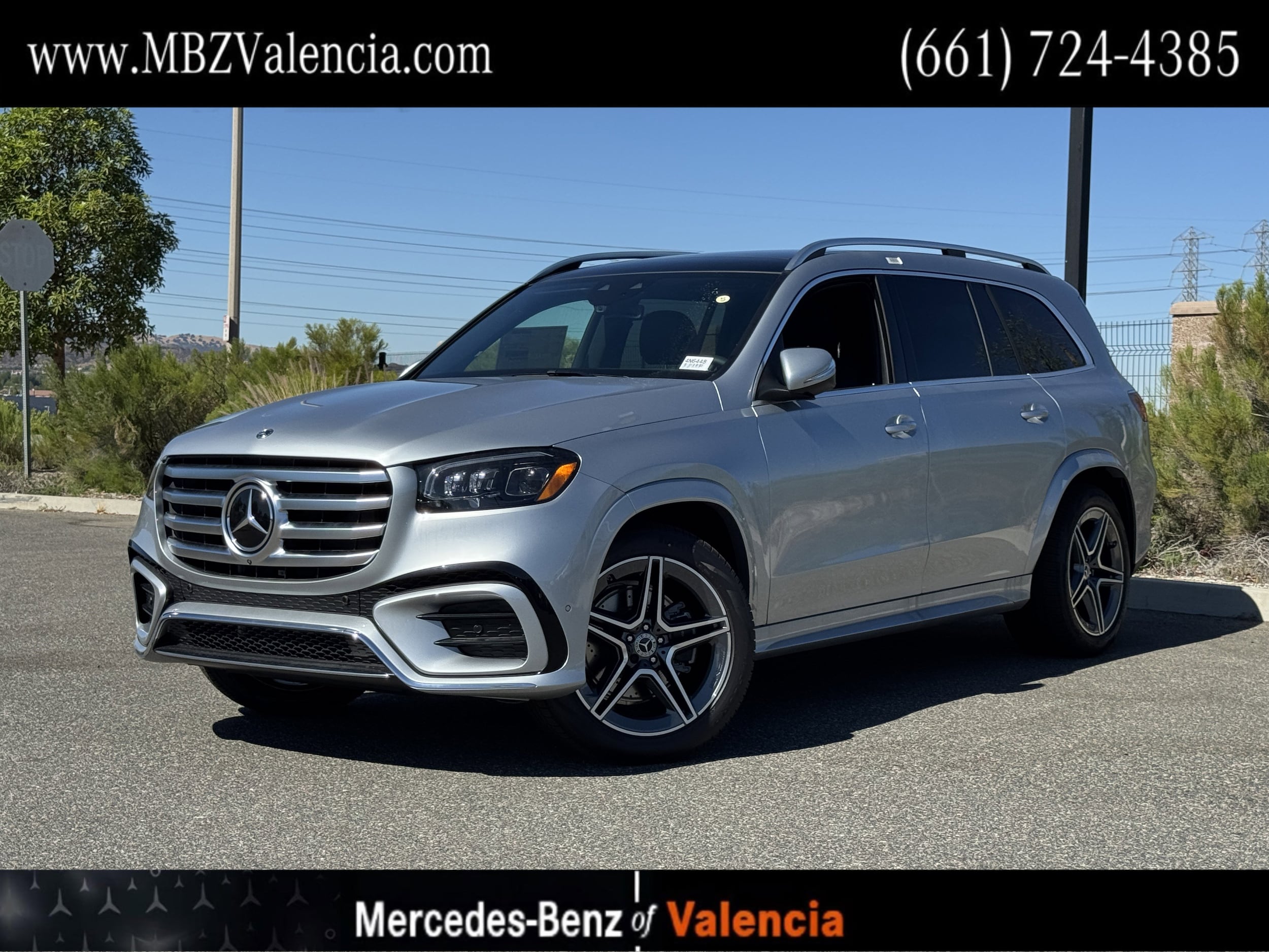 2025 Mercedes-Benz GLS Base's photo