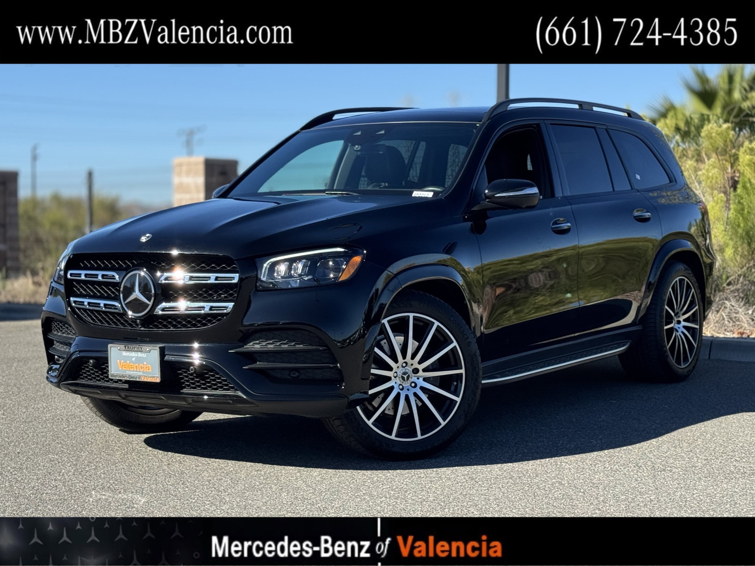 2023 Mercedes-Benz GLS Base's photo