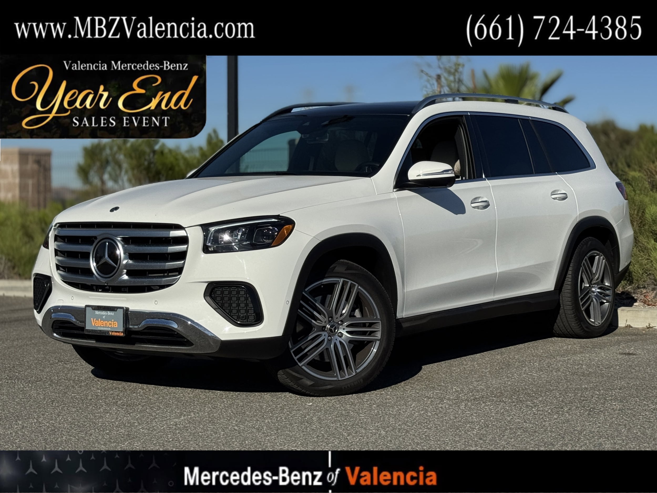 2025 Mercedes-Benz GLS Base's photo