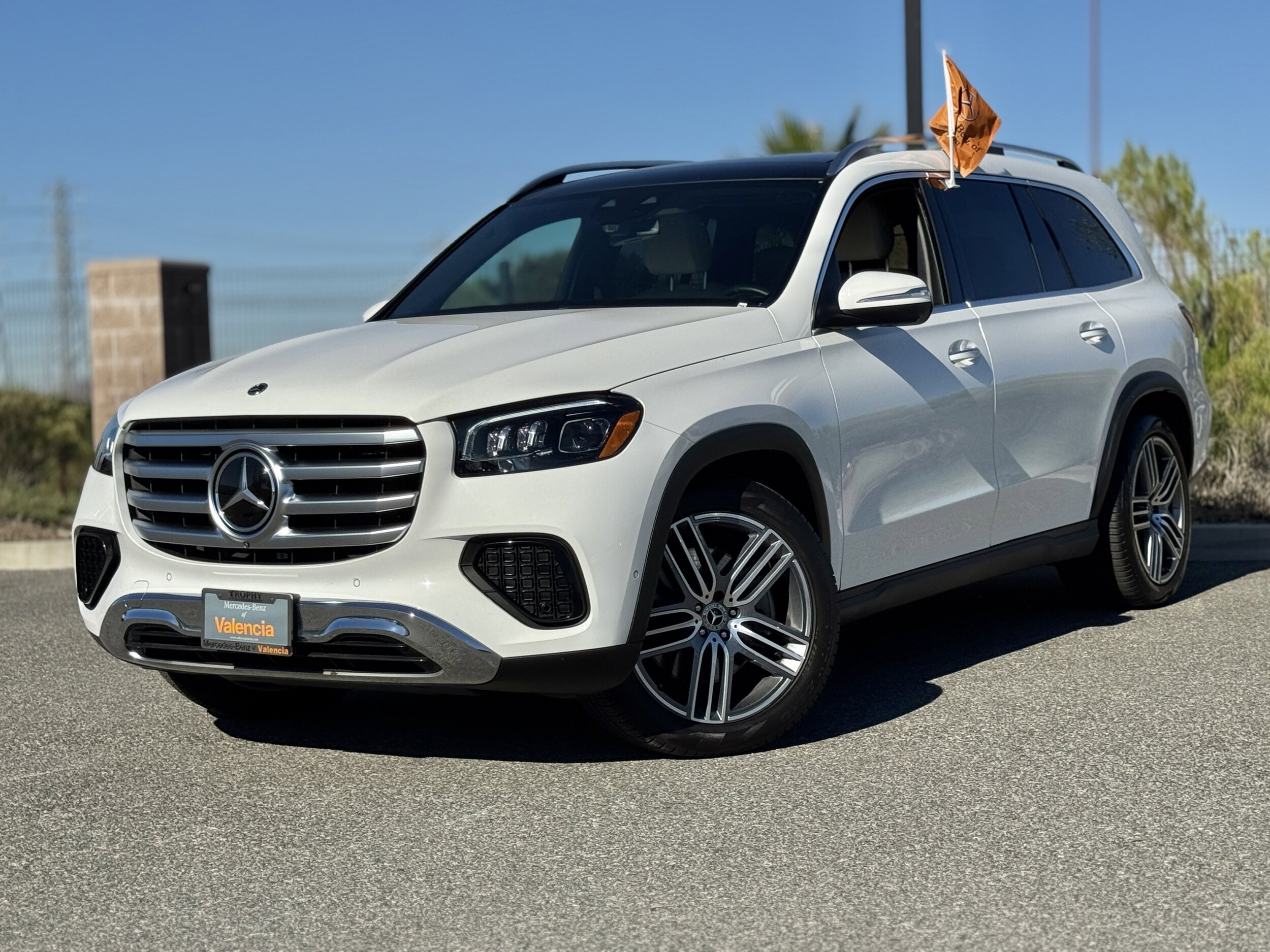 2025 Mercedes Benz GLS 450 photo 2
