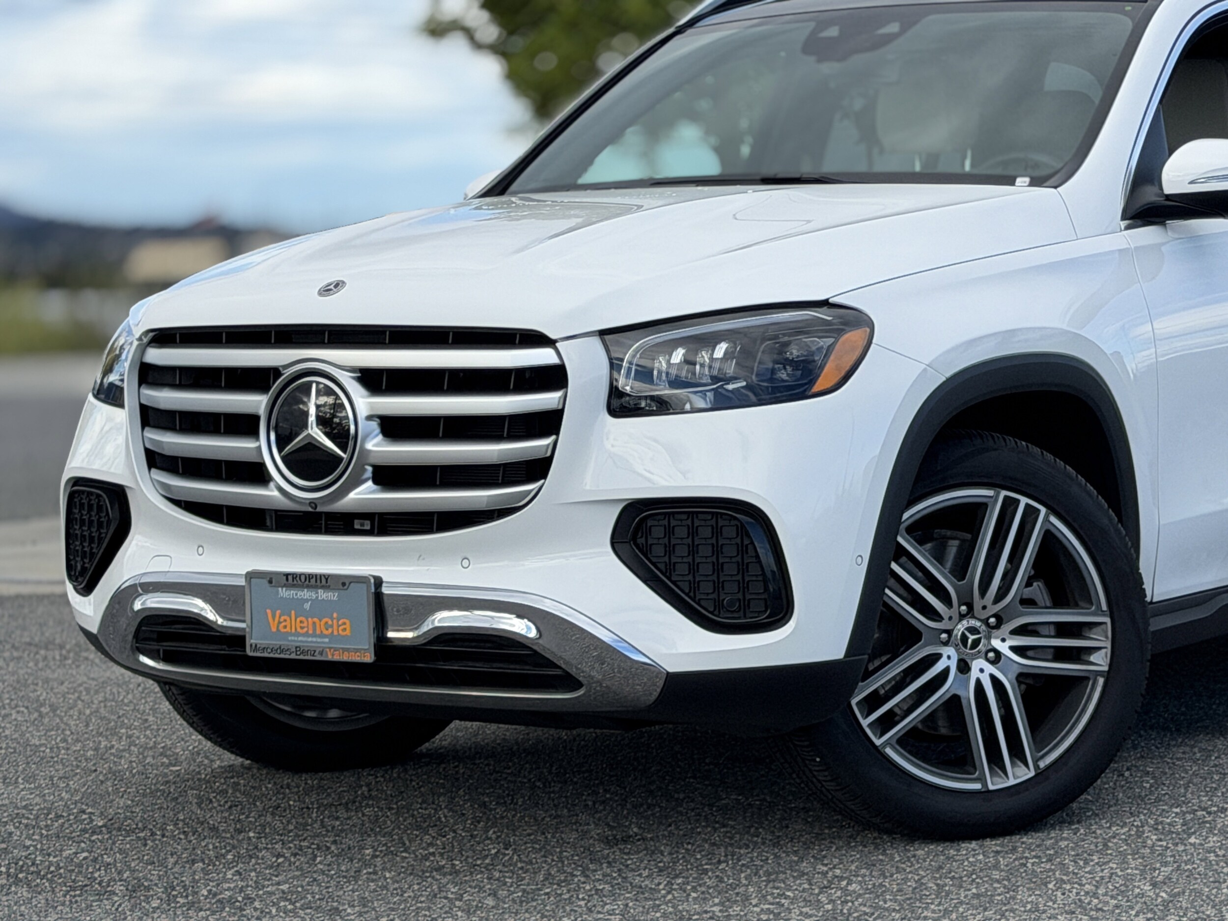 2025 Mercedes Benz GLS 450 photo 3