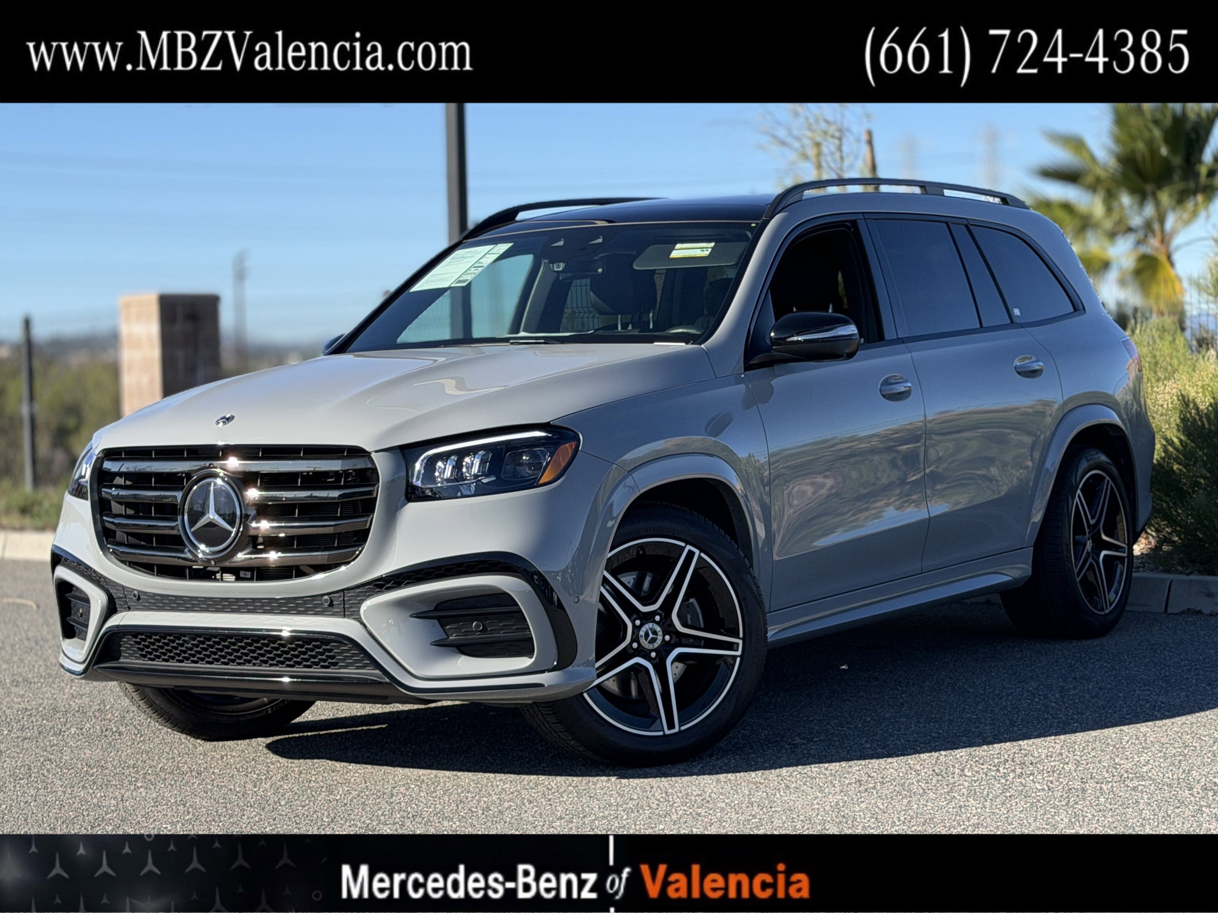 2025 Mercedes-Benz GLS Base's photo