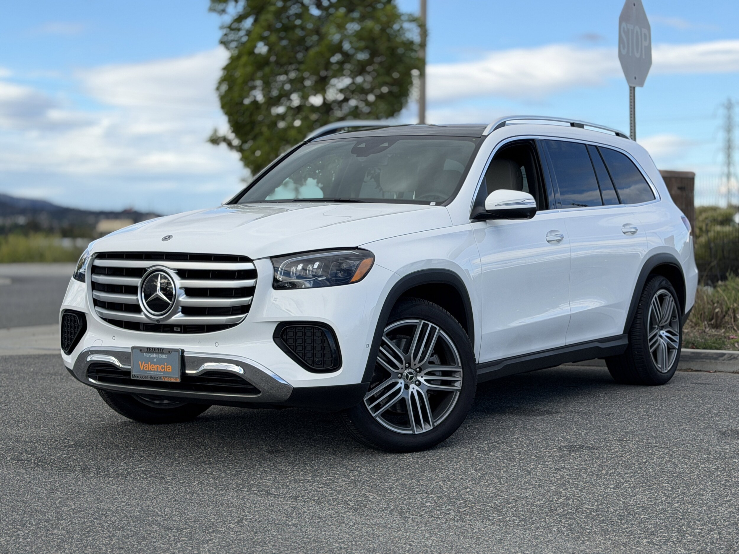 2025 Mercedes Benz GLS 450 photo 2