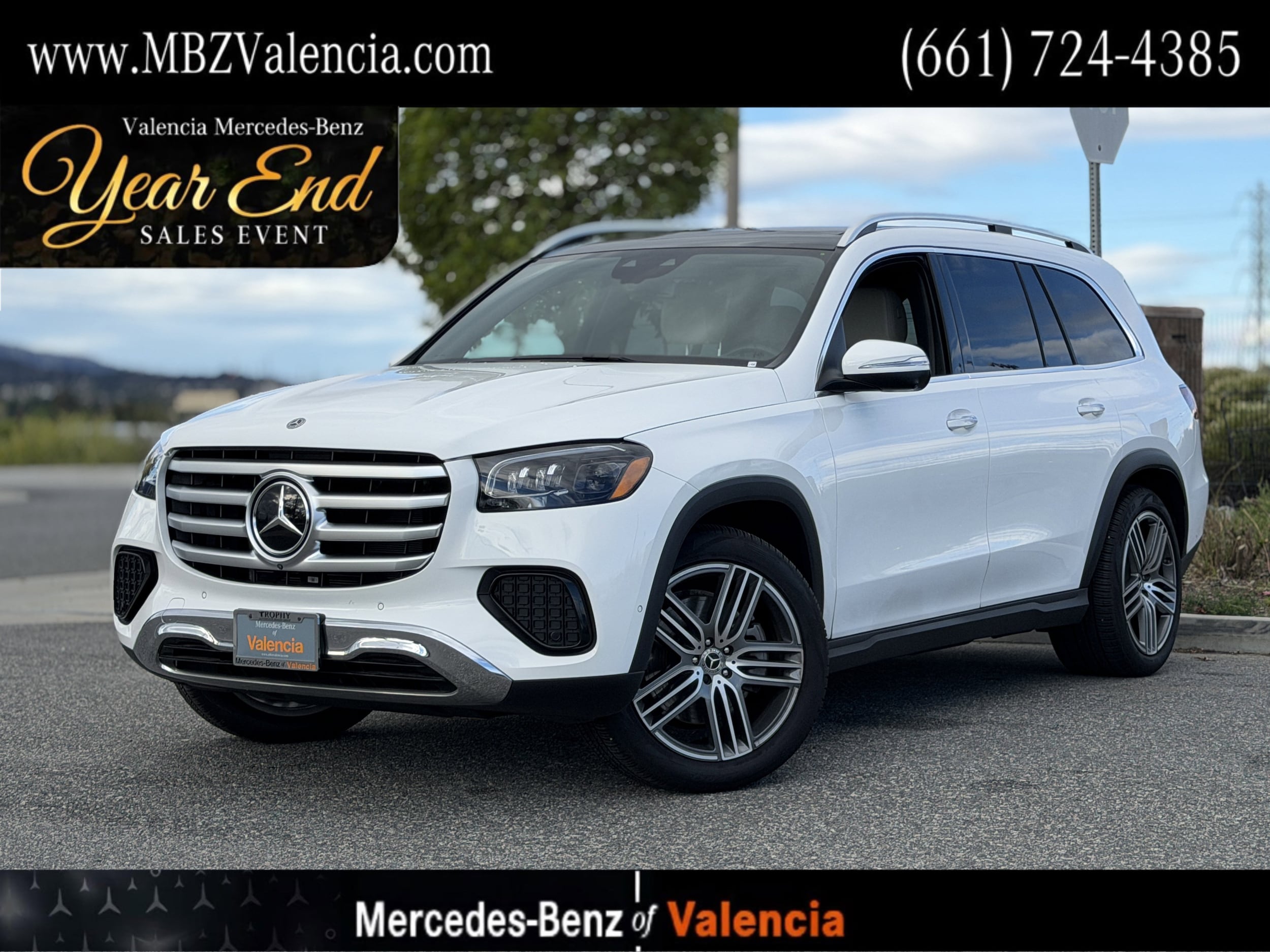 2025 Mercedes-Benz GLS Base's photo