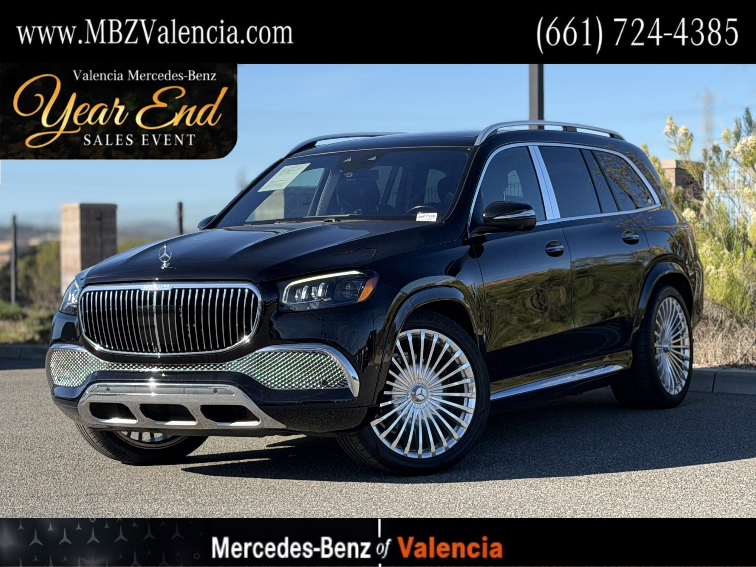 2021 Mercedes-Benz GLS Maybach's photo